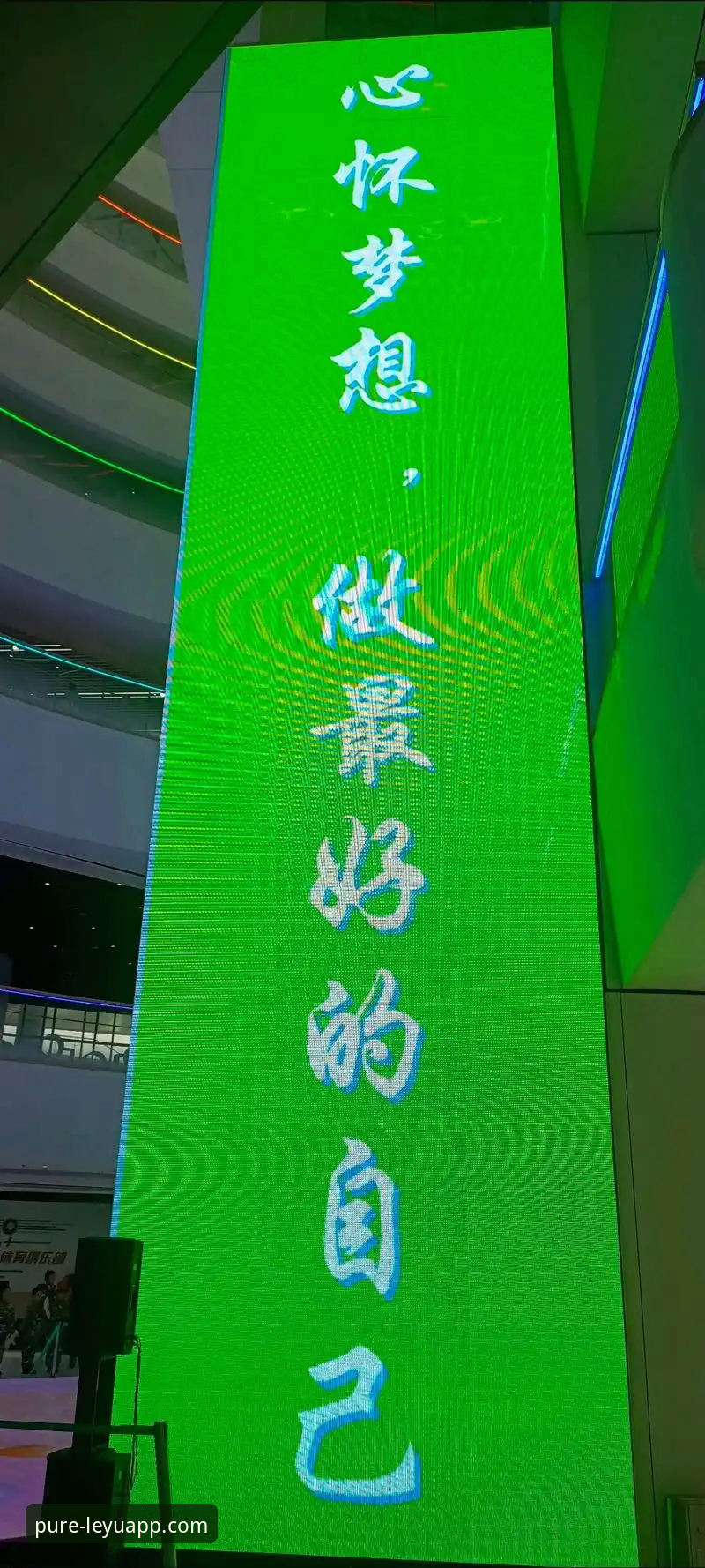 揭秘乐鱼app免费下载评测：2024新版背后的技术真相与使用体验